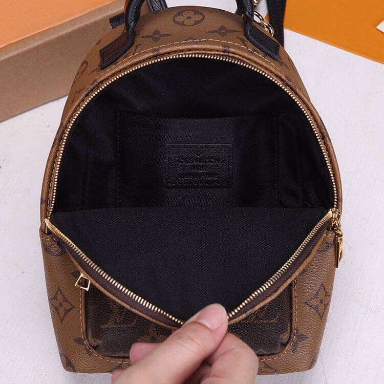 LV Palm Springs Mini Backpack