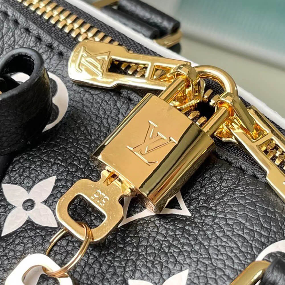 LV Speedy Bandouliere 20 2way Hand Bag