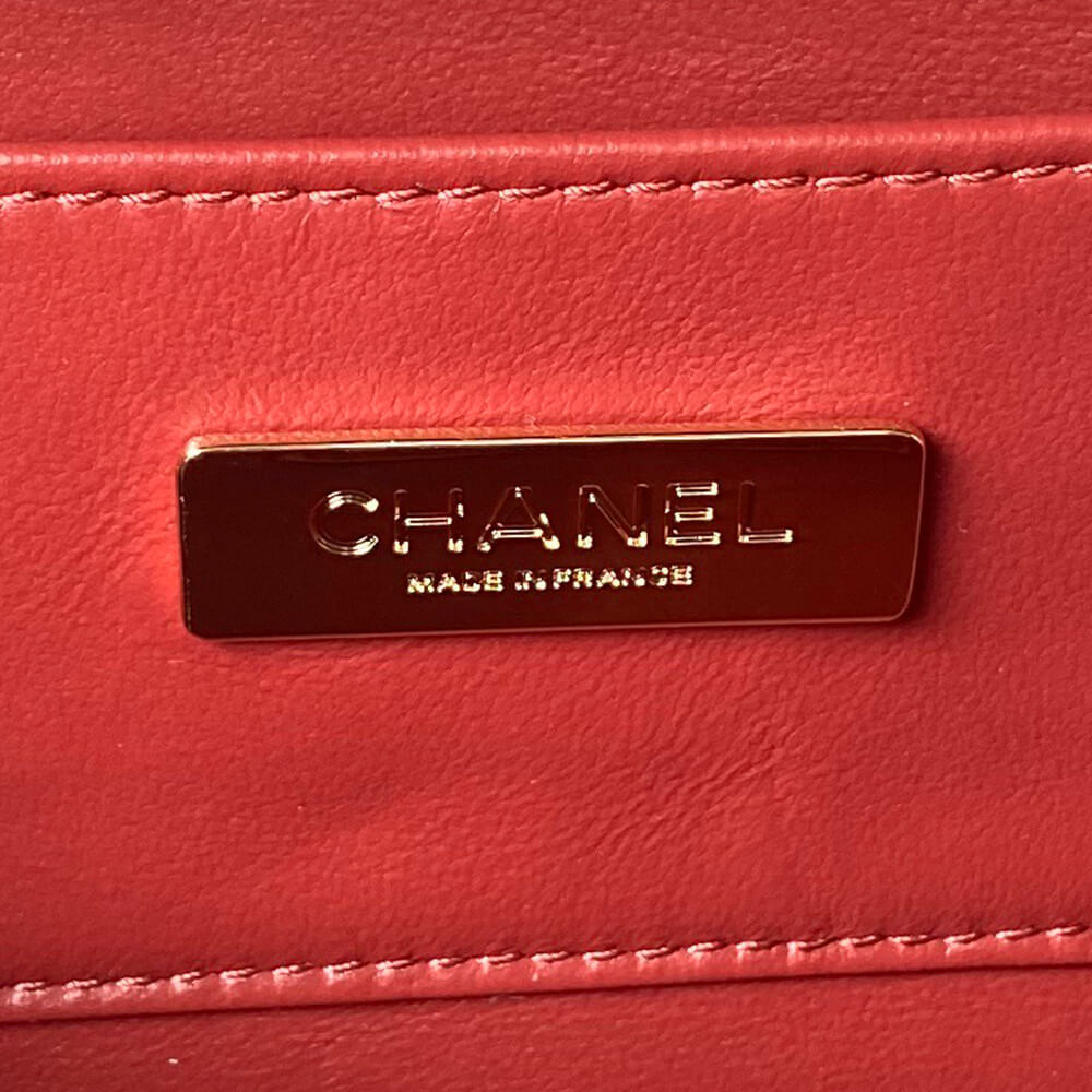 CHANEL CAMERA BAG